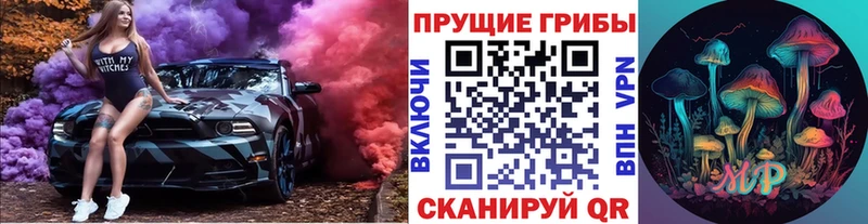 МЕГА маркетплейс  Высоковск  Галлюциногенные грибы GOLDEN TEACHER 